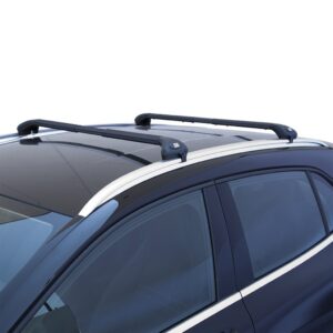 Fabbri ALU VIVA 2 per auto con barre profili integrati – Black