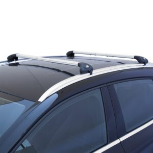 Fabbri ALU VIVA 2 per auto con barre profili integrati – Silver