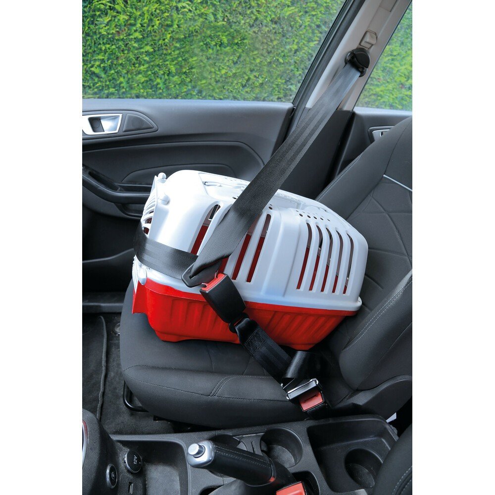 Estensione per cintura di sicurezza, versione Omologata E R16 - Per auto  con attacco standard